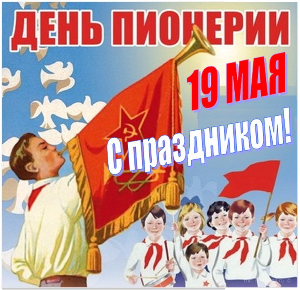19 !  !  !