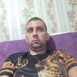 , 29, 