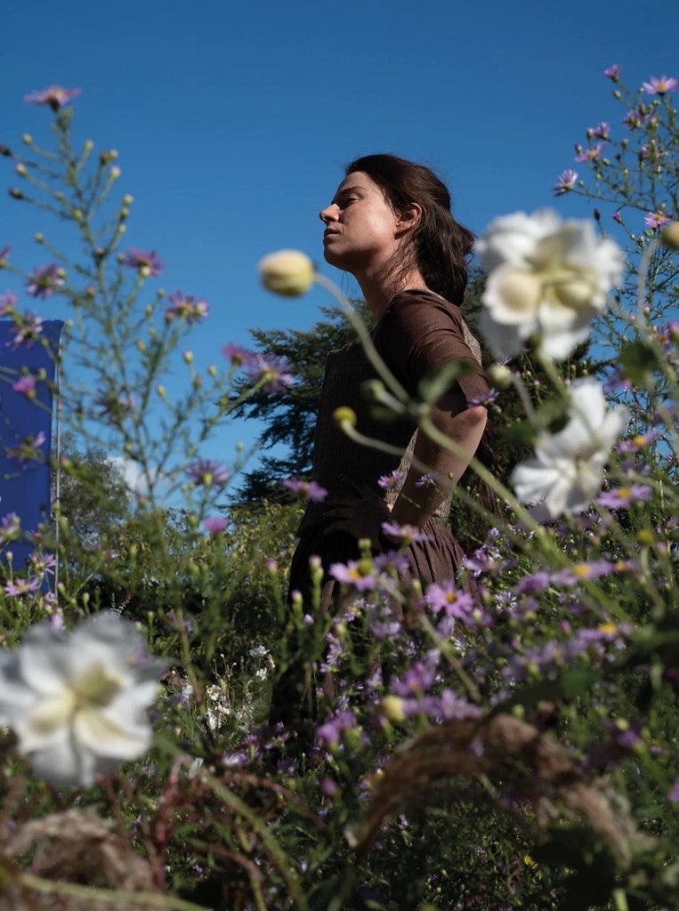 ���� �� ������ �������� ���� ���� - 3