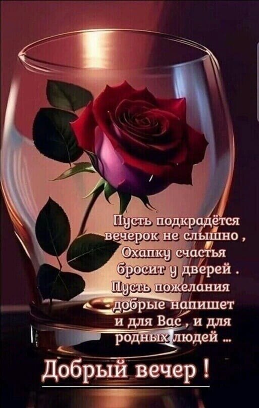 Vera Ivanovna - 20 ������� 2023 � 03:15