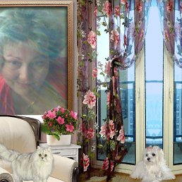 ���� �����, ������������ - ��������� 21 ������� 2026