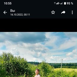 , 44 ,  