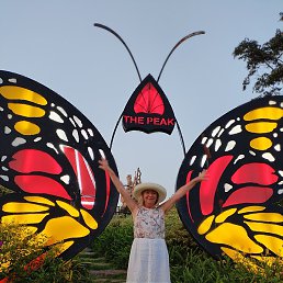 �������, �������, 67 ���