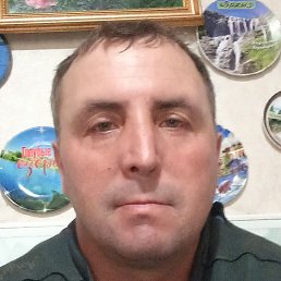 ������, ���������, 46 ���