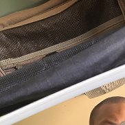 , 21 , 
