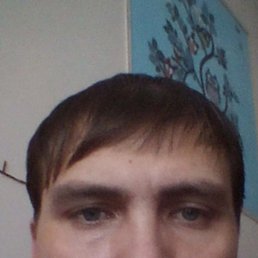 ����� �������, 41 ���, ������