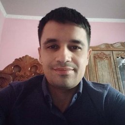 , 31,  