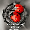 ���� �, ������ - ��������� 14 ����� 2026 � ������ ������ ��������