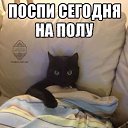 ���� ��������, ������, 70 ��� - ��������� 17 ����� 2024 � ������ ���� ����������