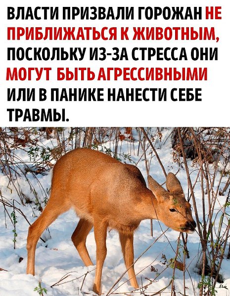      - 2