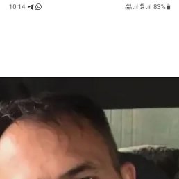 , 52, 