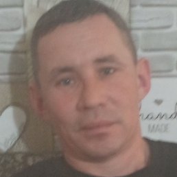 ����, ����, 41 ���