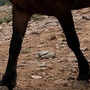 ����, 26 ���, �����