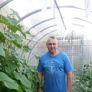 Александр, 65 лет, Краснодар Александр, 65 лет, Краснодар