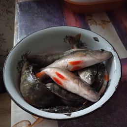    31 , , 33  -  28  2023