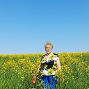 ���� ���, �����-��������� - ��������� 2 ������� 2025