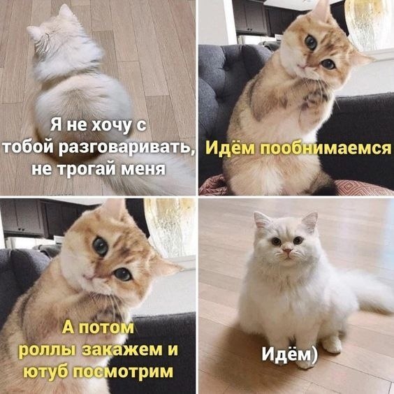  )