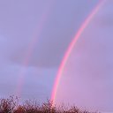 ���� ����, �����-��������� - ��������� 25 ������ 2026 � ������ ���� ����������