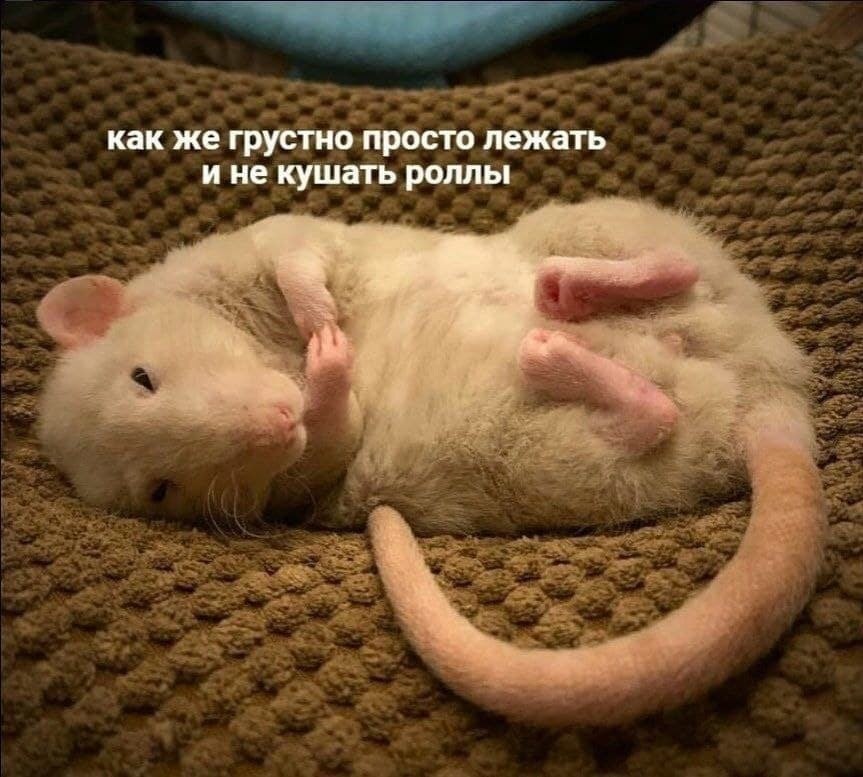 ��� �������� �������� - 27 ������� 2024 � 00:23
