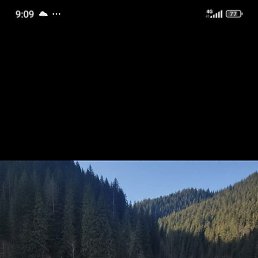 �������, �����-���������, 46 ���