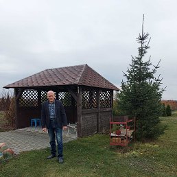 ���� ���������, �����, 71 ��� - ��������� 17 ������ 2023