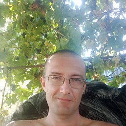 , 33, 