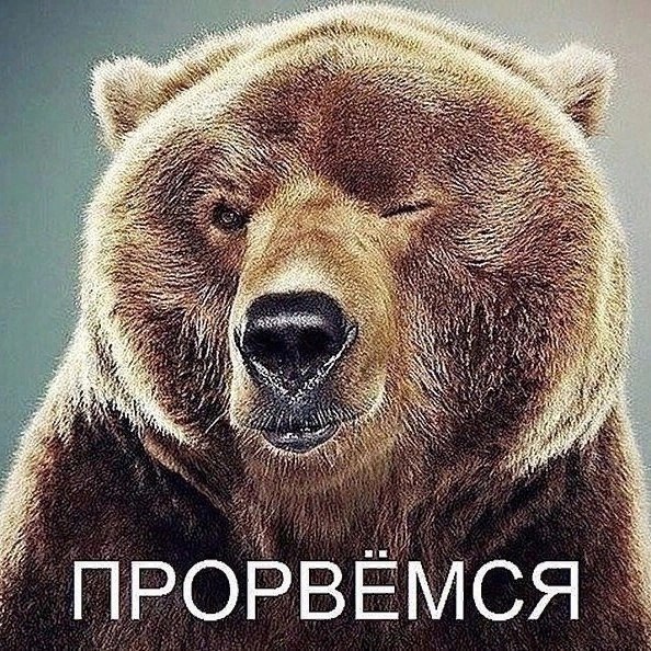   - 31  2025  13:17