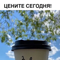 ���� �������, ����, 49 ���