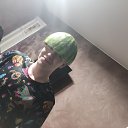 ���� ������, ��������, 20 ��� - ��������� 11 ���� 2026 � ������ ���� ����������