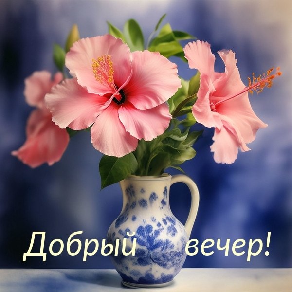   ,    . - 24  2025  15:31