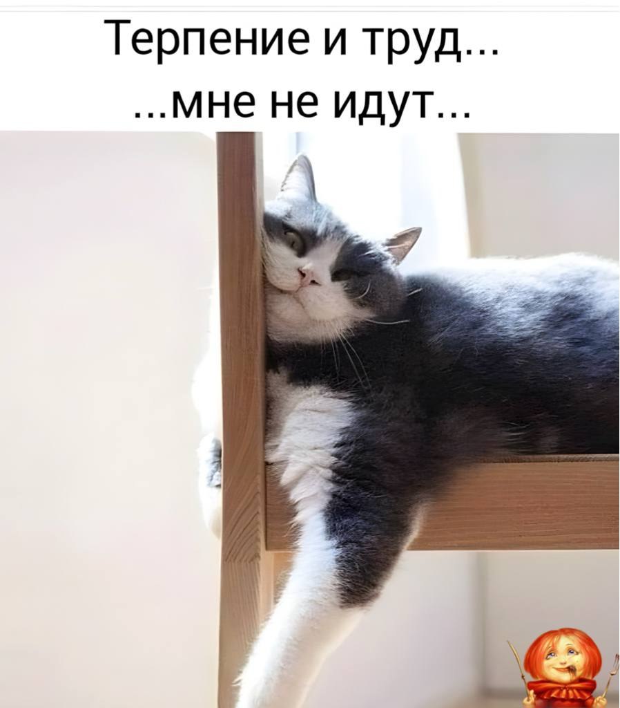  - 2  2025  23:58