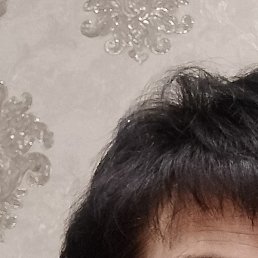 �����, �������, 49 ���