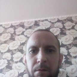 , 37 , 