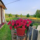 ���� ��������, ��������, 43 ���� - ��������� 28 ������� 2023 � ������ ���� ����������