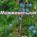 ���� �����, ������, 54 ���� - ��������� 5 ����� 2026 � ������ ������ ��������