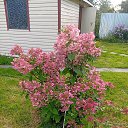 ���� �����, ����-�������, 63 ���� - ��������� 21 ������� 2025 � ������ ���� ����������