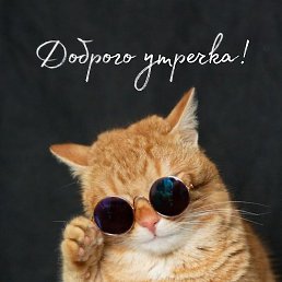 �����, ������, 63 ����