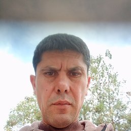 , 47, 