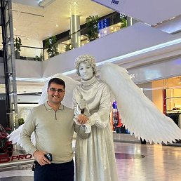 �����, �����-���������, 44 ����