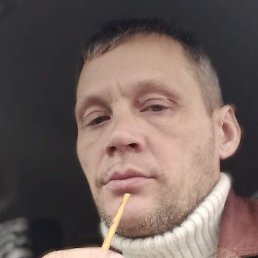 �������, ������, 46 ���