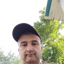 , 41, 