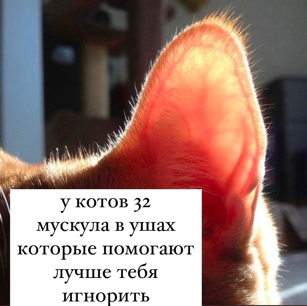 Новая рубрика: интересные факты