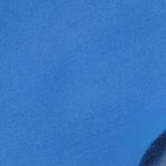 ���������, 51 ���, ���������