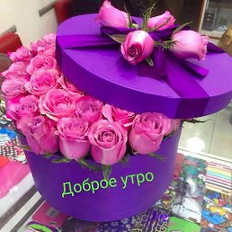 �������, �����, 57 ���