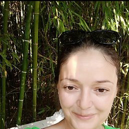 , 41,  