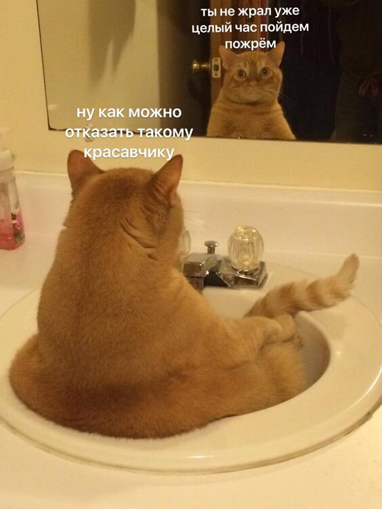  - 27  2025  16:44