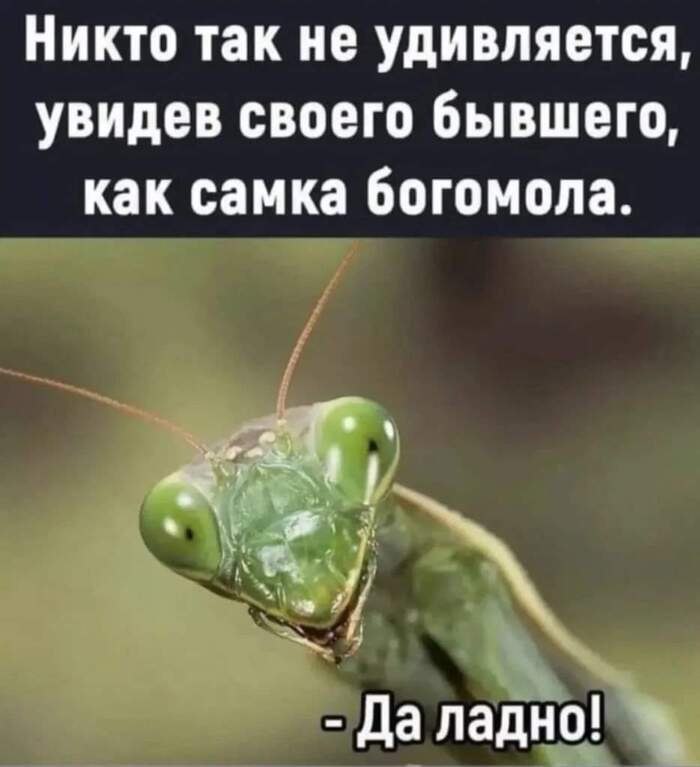 ������ ������ - 10 ������ 2024 � 23:35