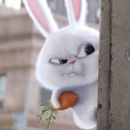 �����, ������������, 38 ���