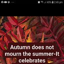  Shayan,  -  12  2025    