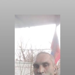 �����, ������, 41 ���